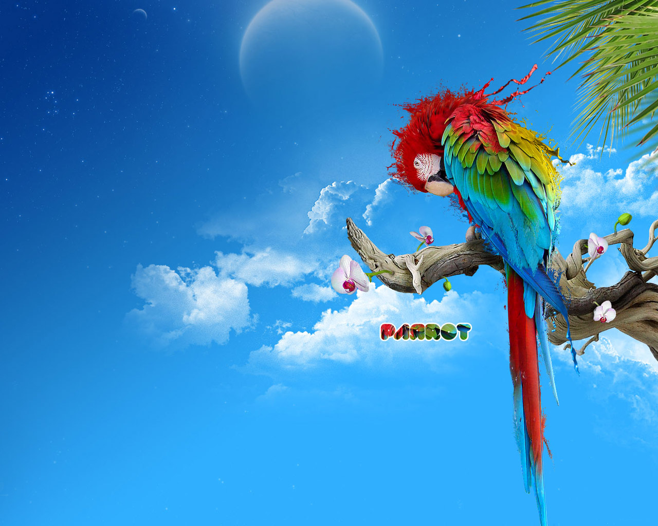 Большой мультяшный попугай на фоне голубого неба HD фото картинки, обои рабочий стол