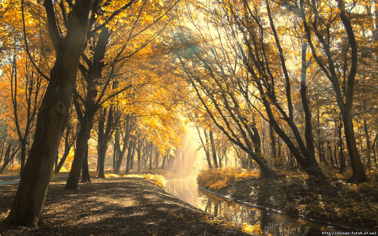 Осень, деревья, речка HD фото картинки, обои рабочий стол