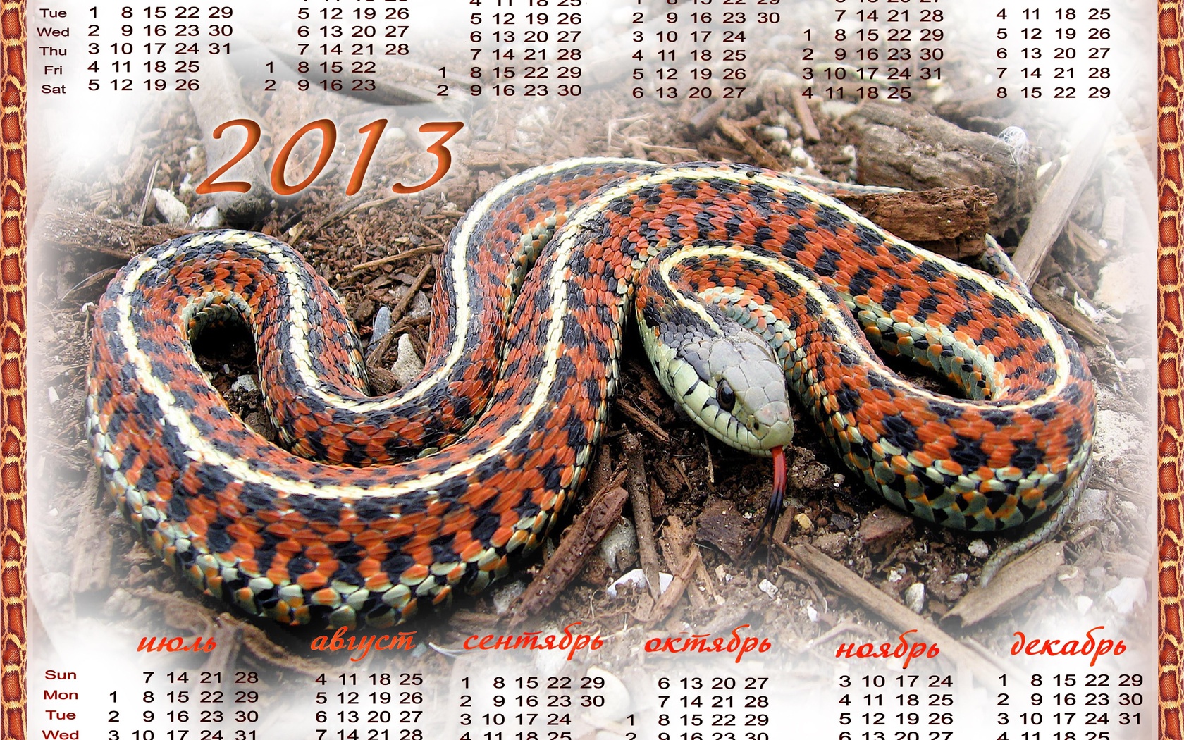 календарь, 2013, новый год, змеи HD фото картинки, обои рабочий стол