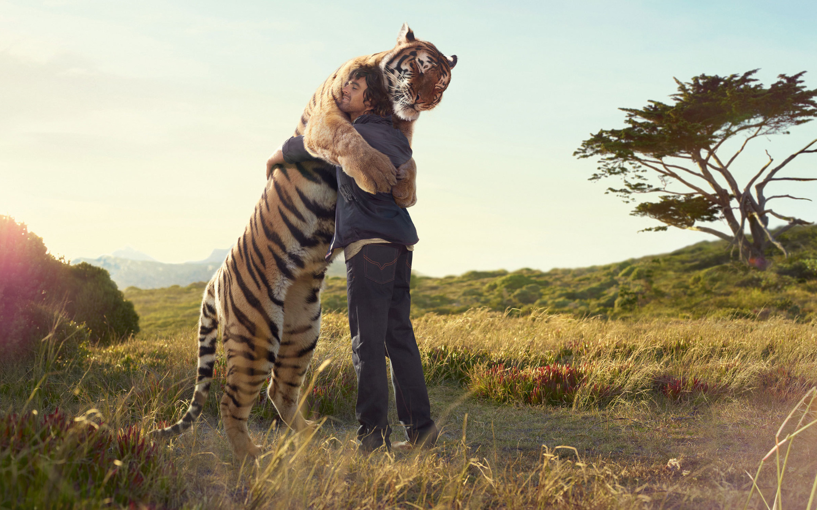 Человек и тигр, обнимаются, друзья, встреча Креативные с приколом картинки, обои рабочий стол