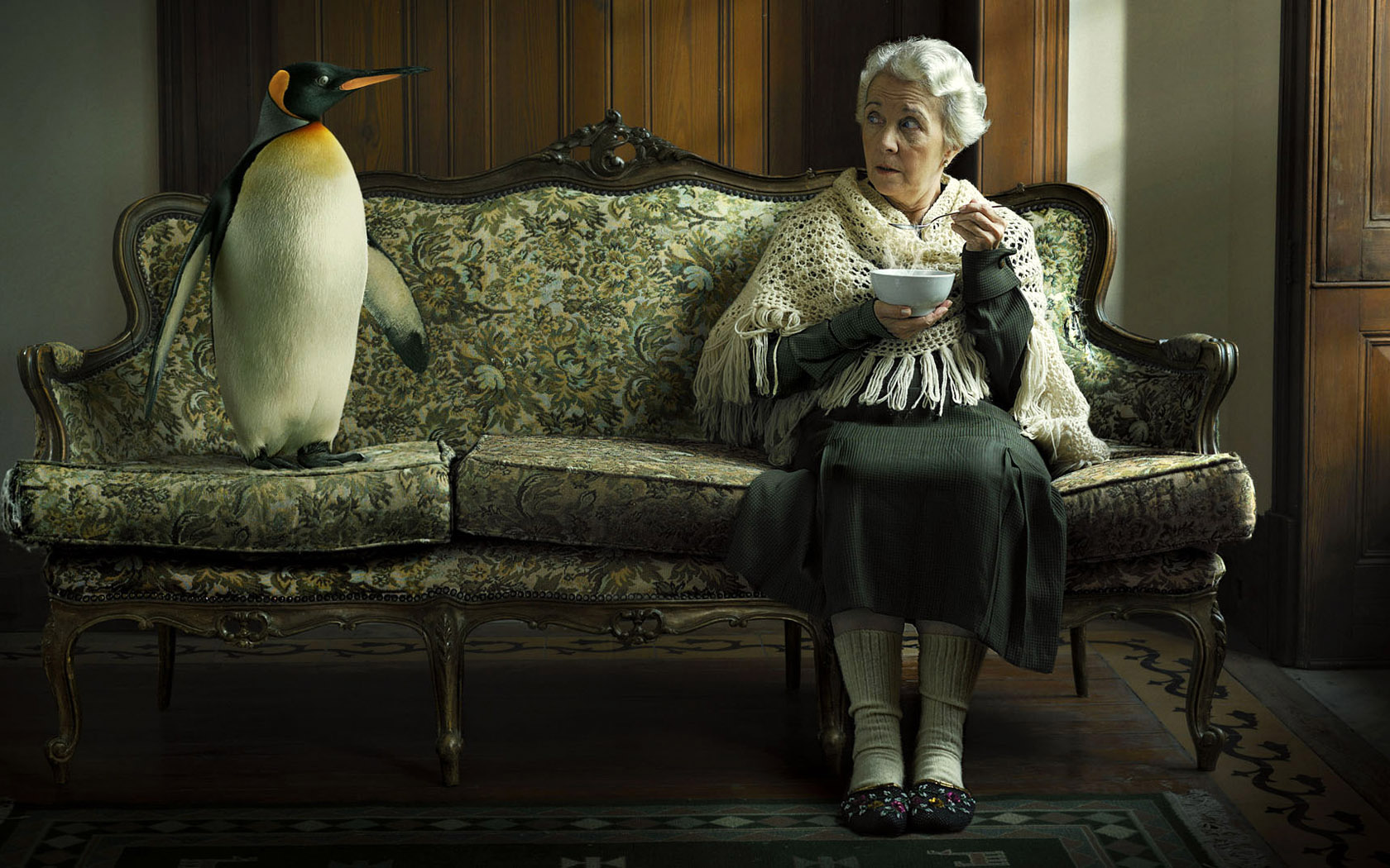Бабушка на диване разговаривает с пингвином Креативные с приколом картинки, обои рабочий стол