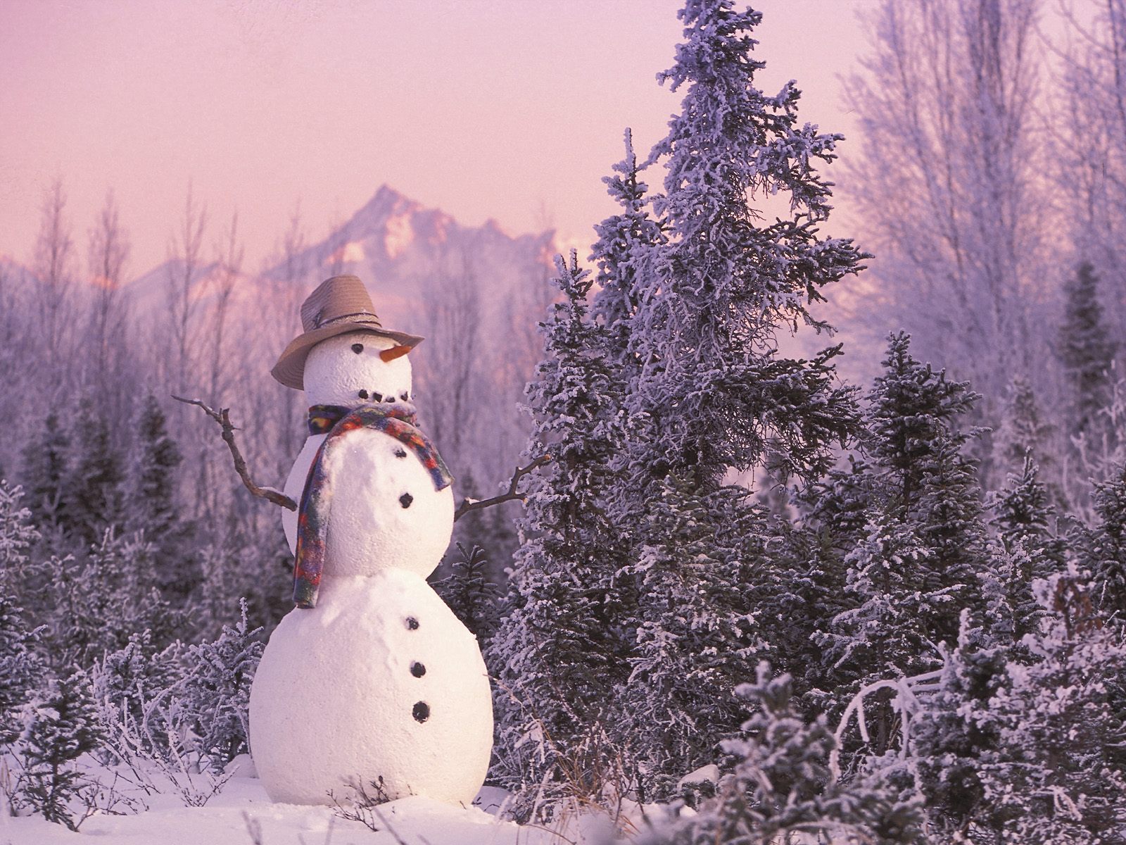 Снеговик в шарфе и шляпе Природа картинки, обои рабочий стол