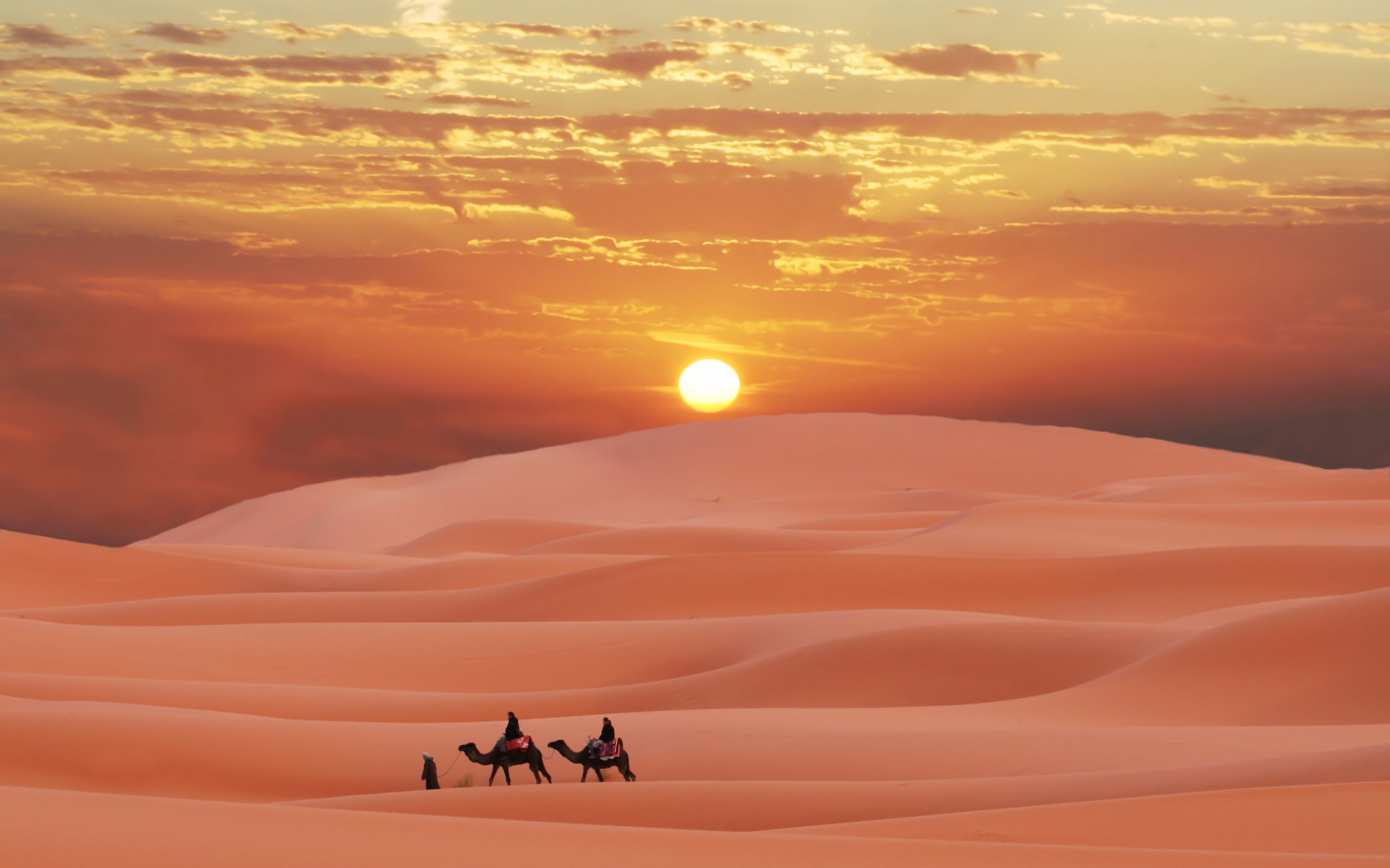 пустыня, марокко, караван, пески, сахара, берберы Природа картинки, обои рабочий стол