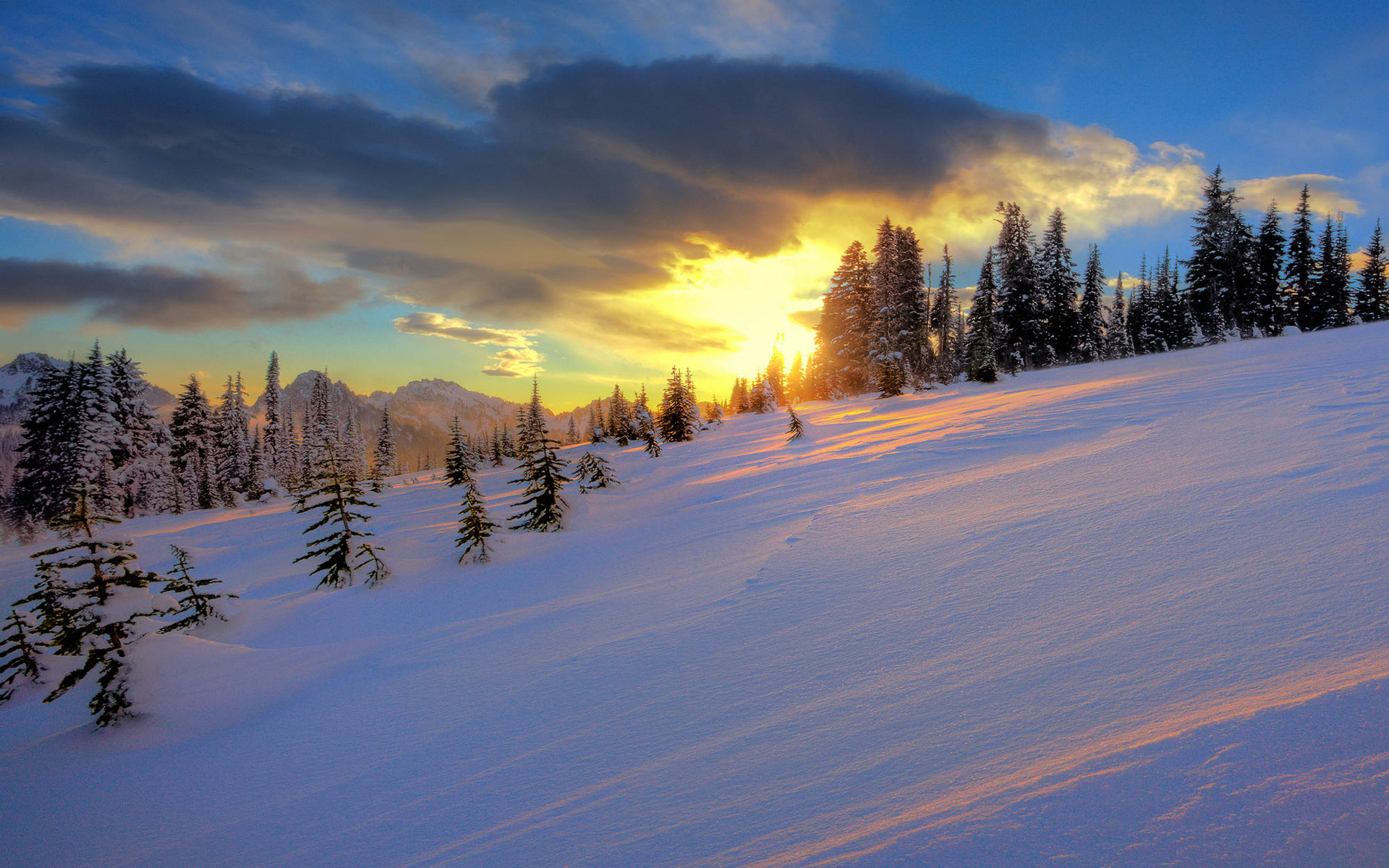 Закат над снежным полем Природа картинки, обои рабочий стол
