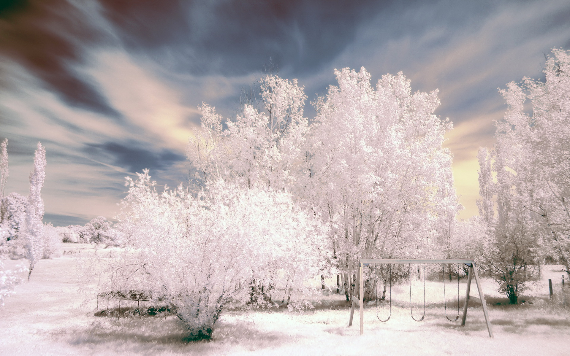 Деревья в снегу Природа картинки, обои рабочий стол