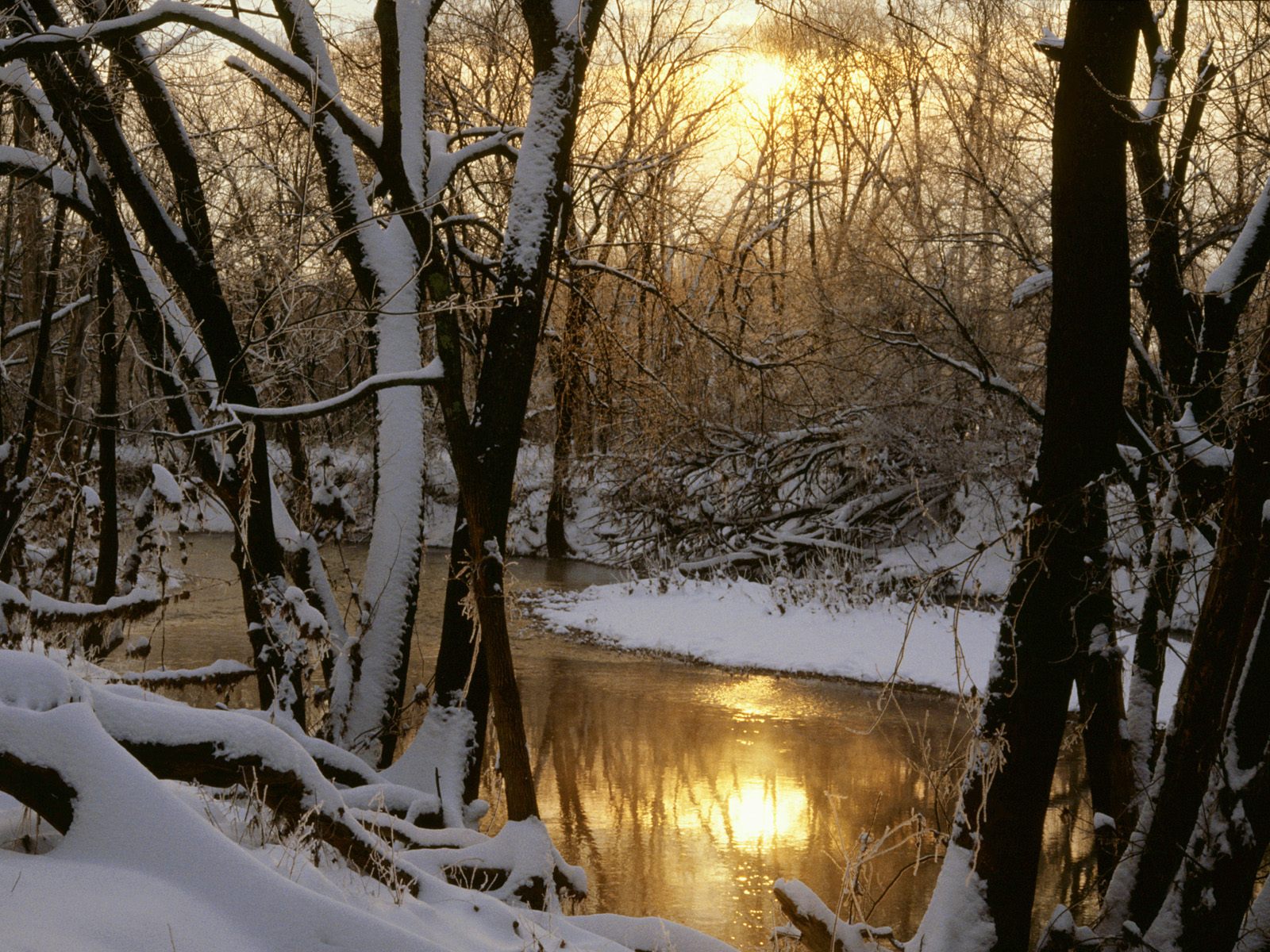 Зимняя река в лесу, снег, холодно Природа картинки, обои рабочий стол
