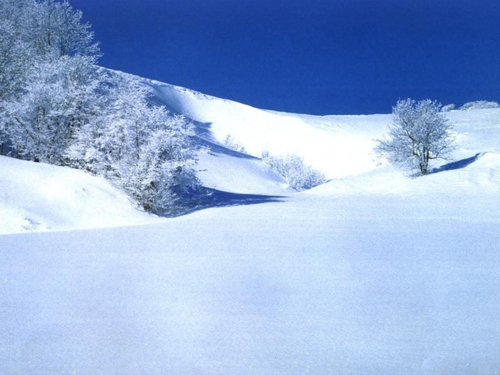 Снег, холм, дерево, зима Природа картинки, обои рабочий стол