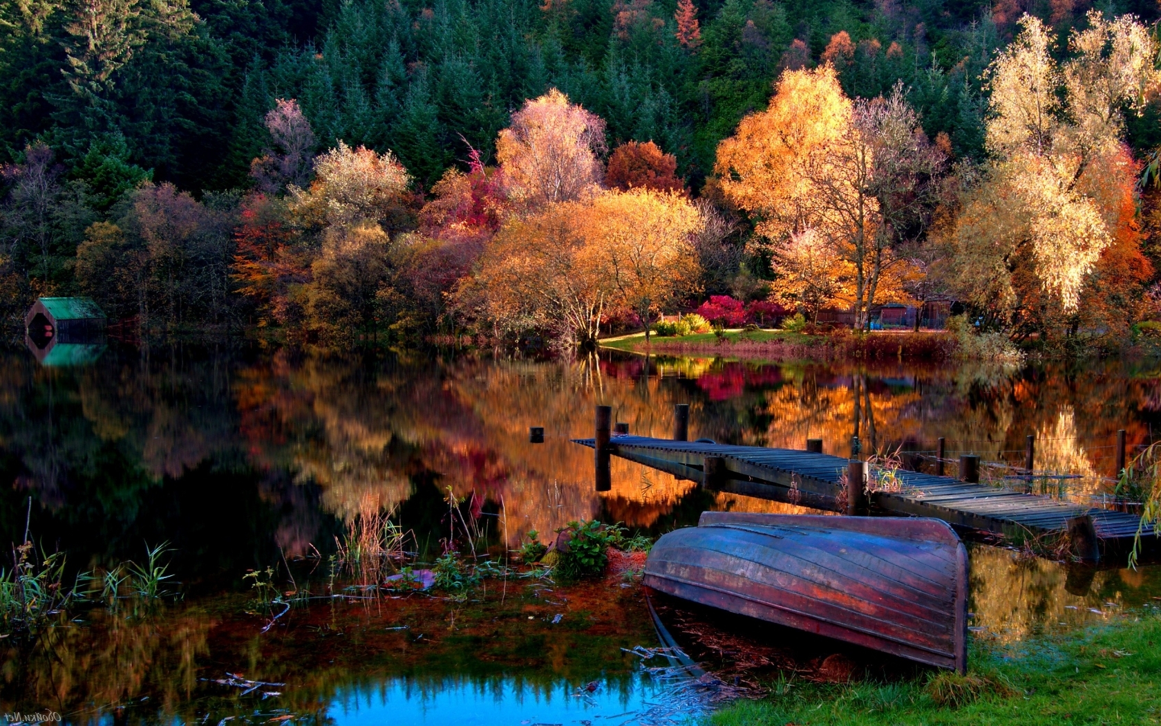Озеро среди осеннего леса Природа картинки, обои рабочий стол