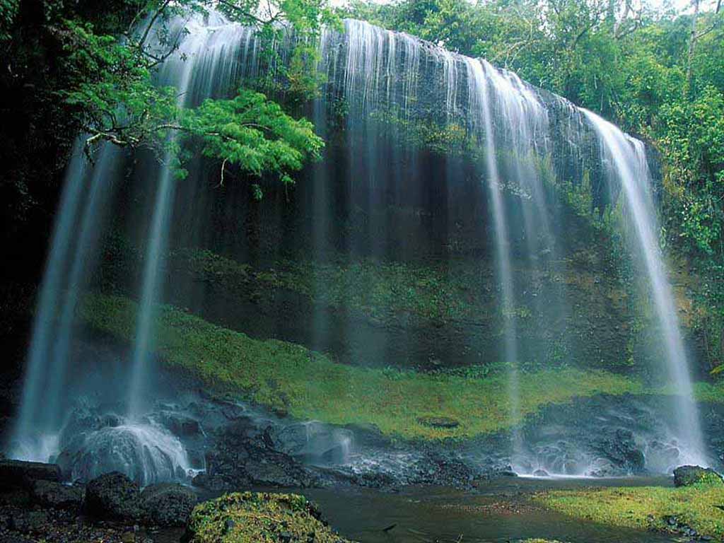 Водопад, красивый, камни, лес Природа картинки, обои рабочий стол