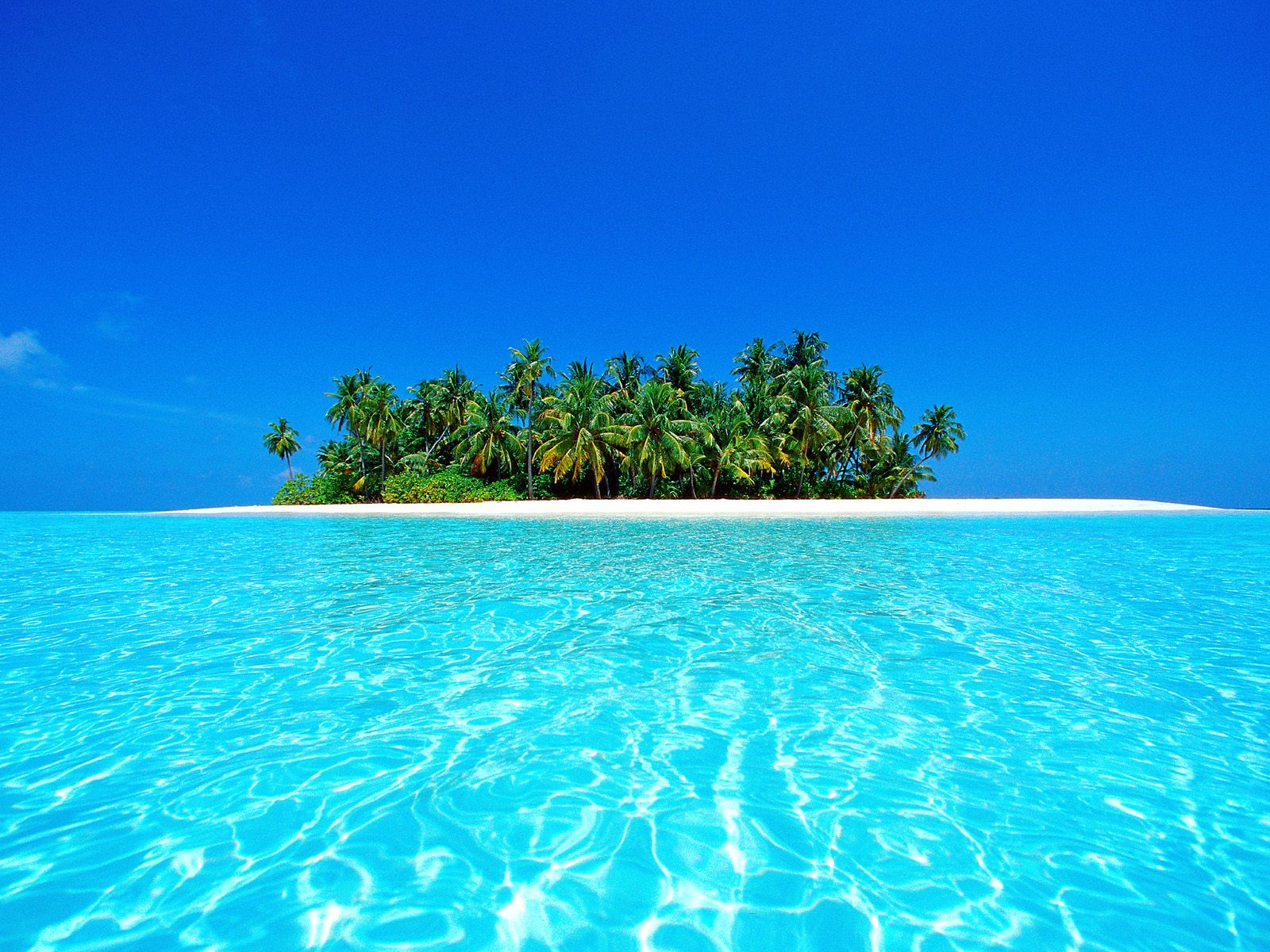 Осторв Ari Atoll, Maldives лазурное море, пальмы Природа картинки, обои рабочий стол