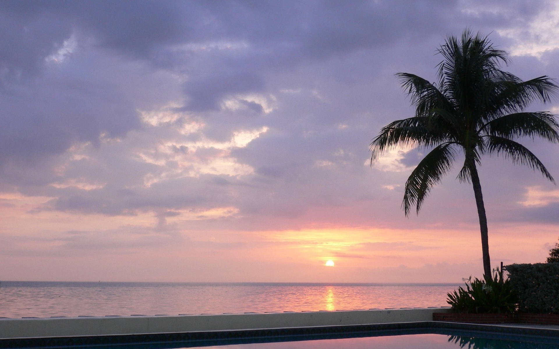море, бассейн, пальма, облака, солнце Природа картинки, обои рабочий стол