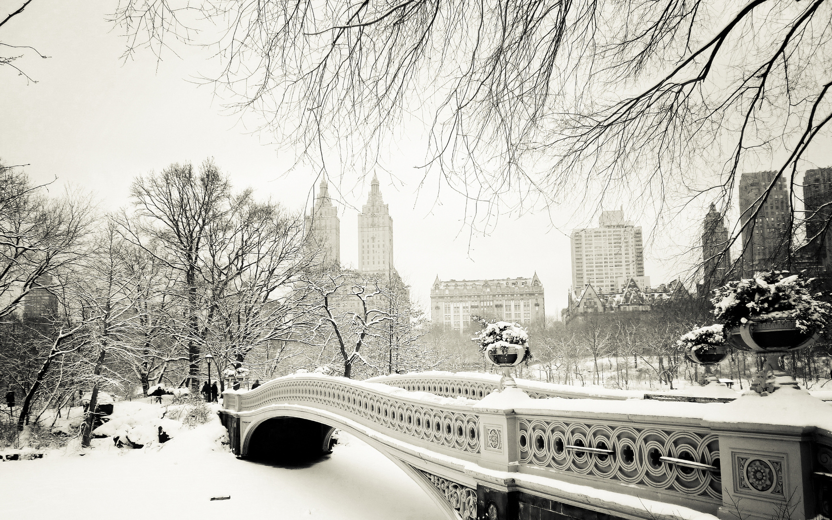 деревья, зима, Нью-Йорк, город, Центральный парк Города картинки, обои рабочий стол