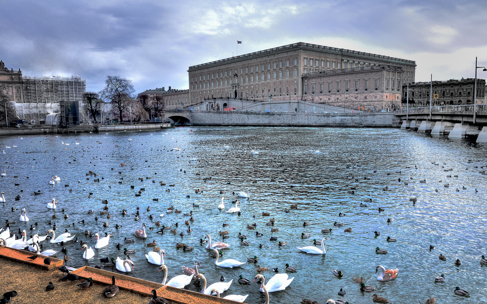 Королевский дворец, Стокгольм, пруд, лебеди Города картинки, обои рабочий стол