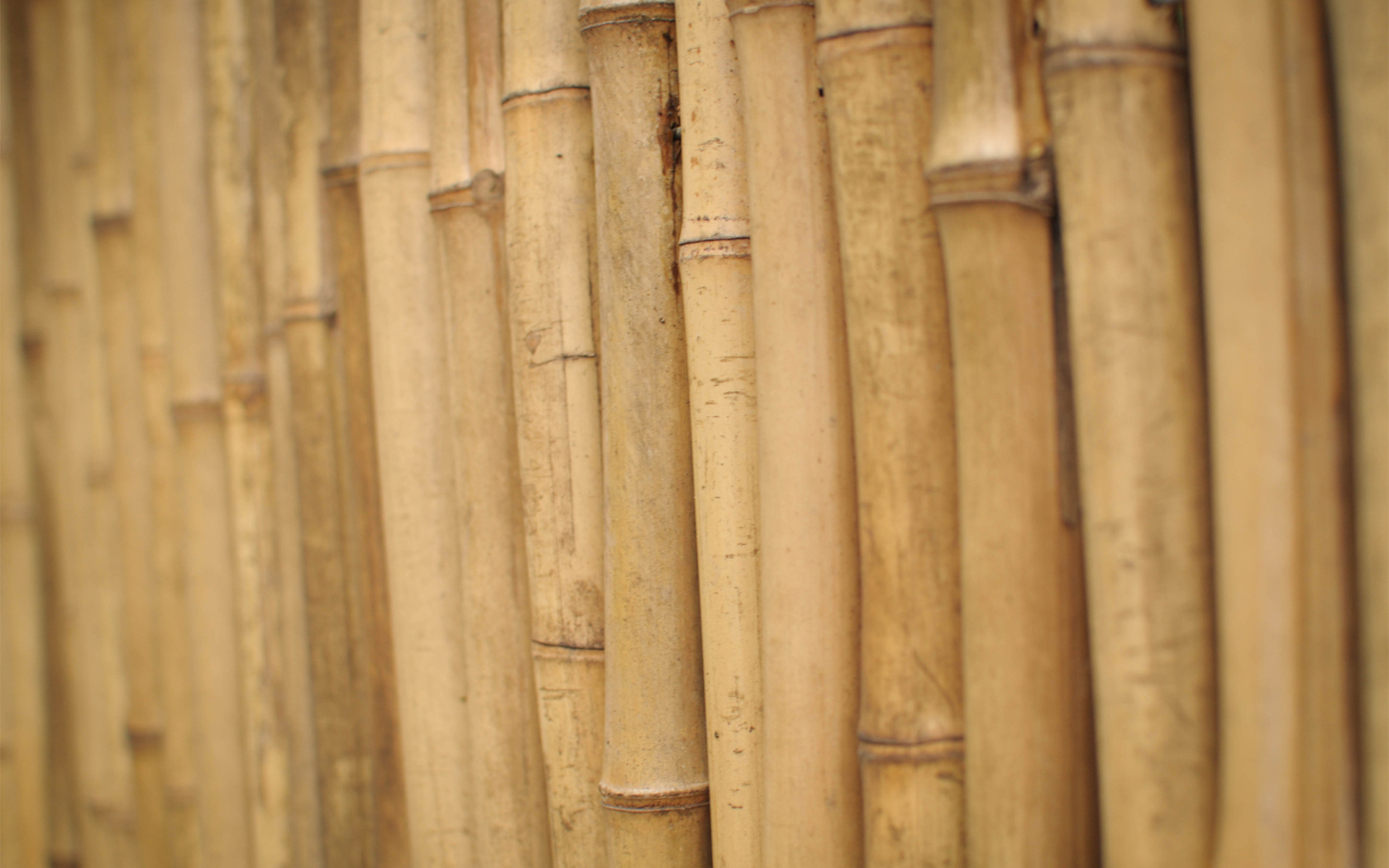 деревяшки, стебли, бамбук Текстуры картинки, обои рабочий стол