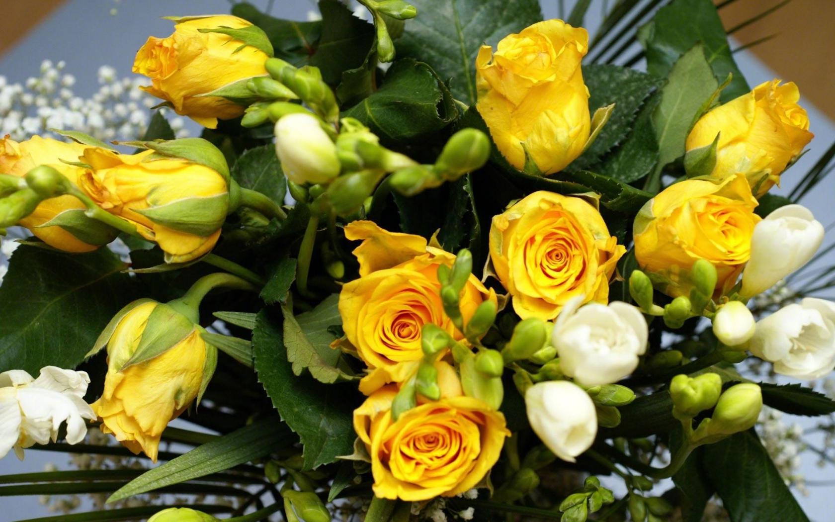 Желтые, розы, букет Цветы картинки, обои рабочий стол