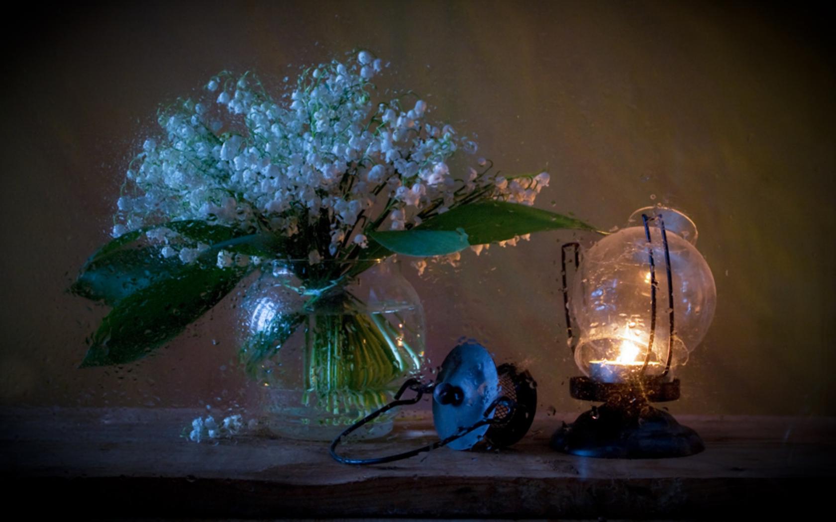 Цветы, ваза, лампа Цветы картинки, обои рабочий стол