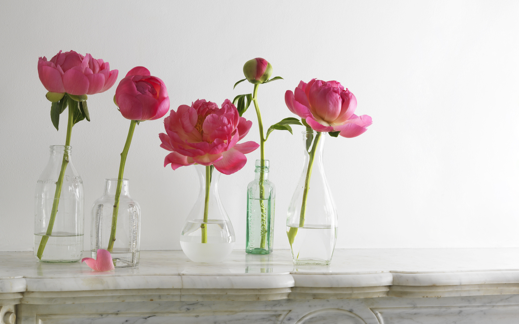 композиция, бутылки, пионы, вазы, бутон, розовые Цветы картинки, обои рабочий стол
