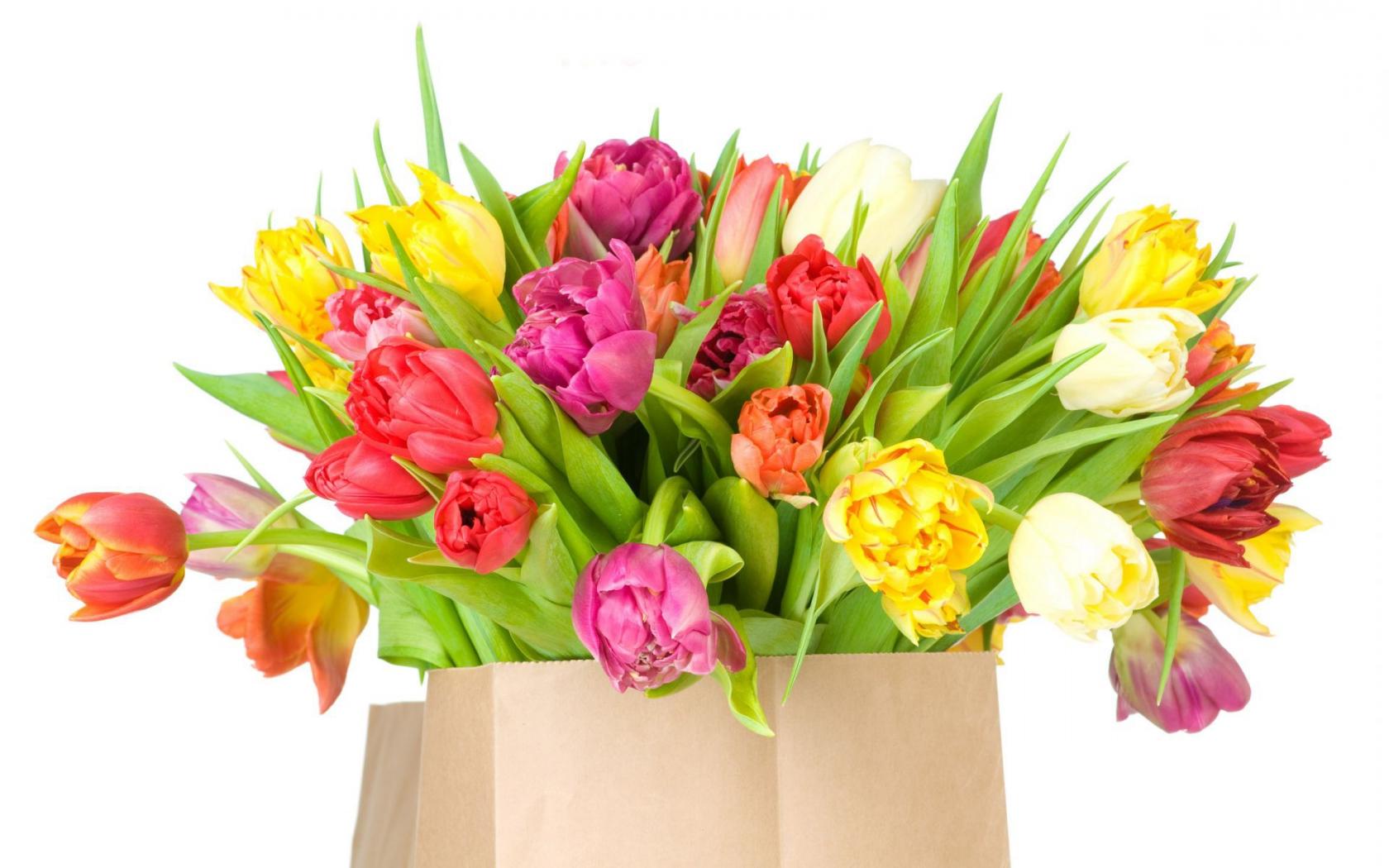Пакет с тюльпанами Цветы картинки, обои рабочий стол