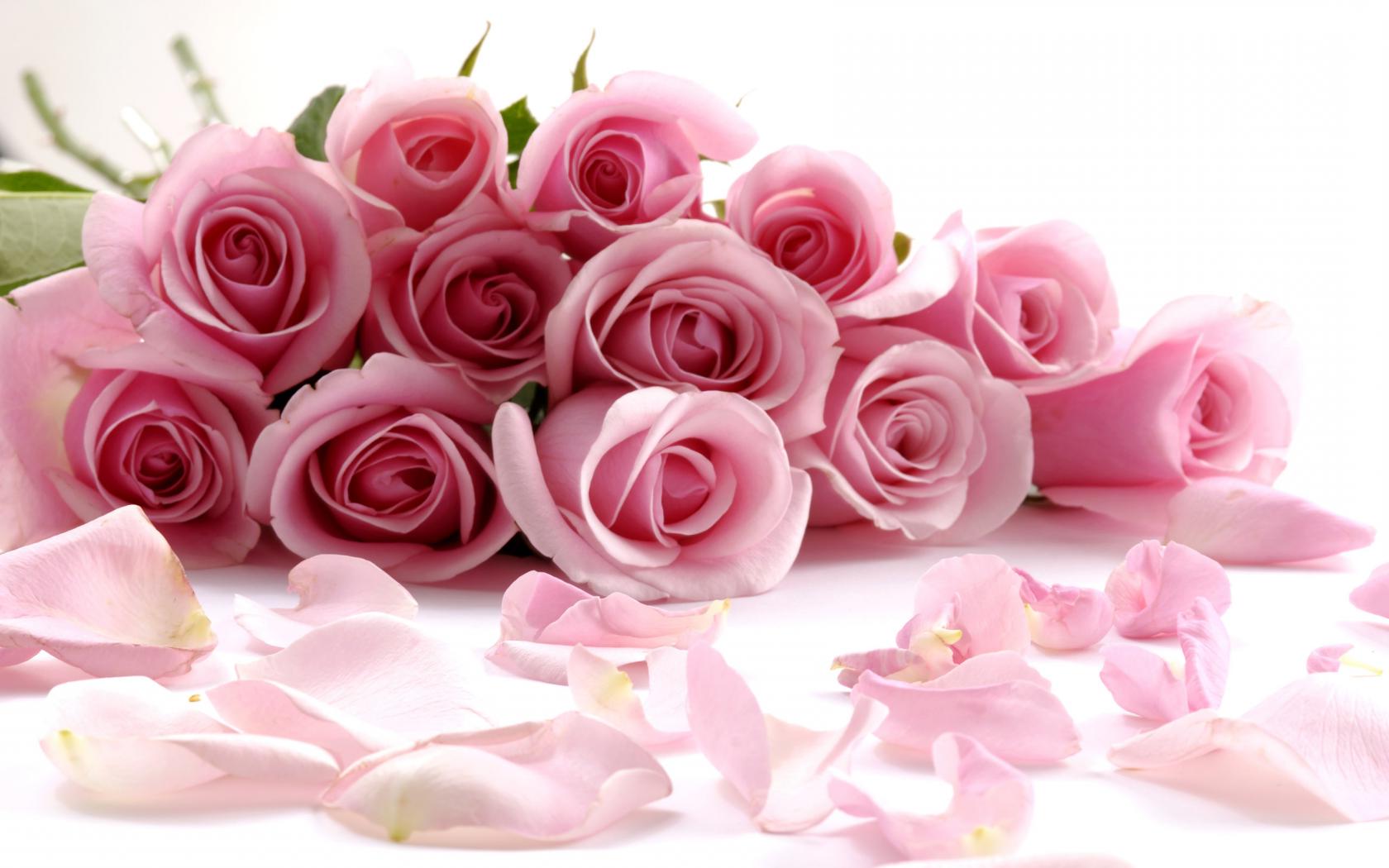 Букет розовых роз Цветы картинки, обои рабочий стол