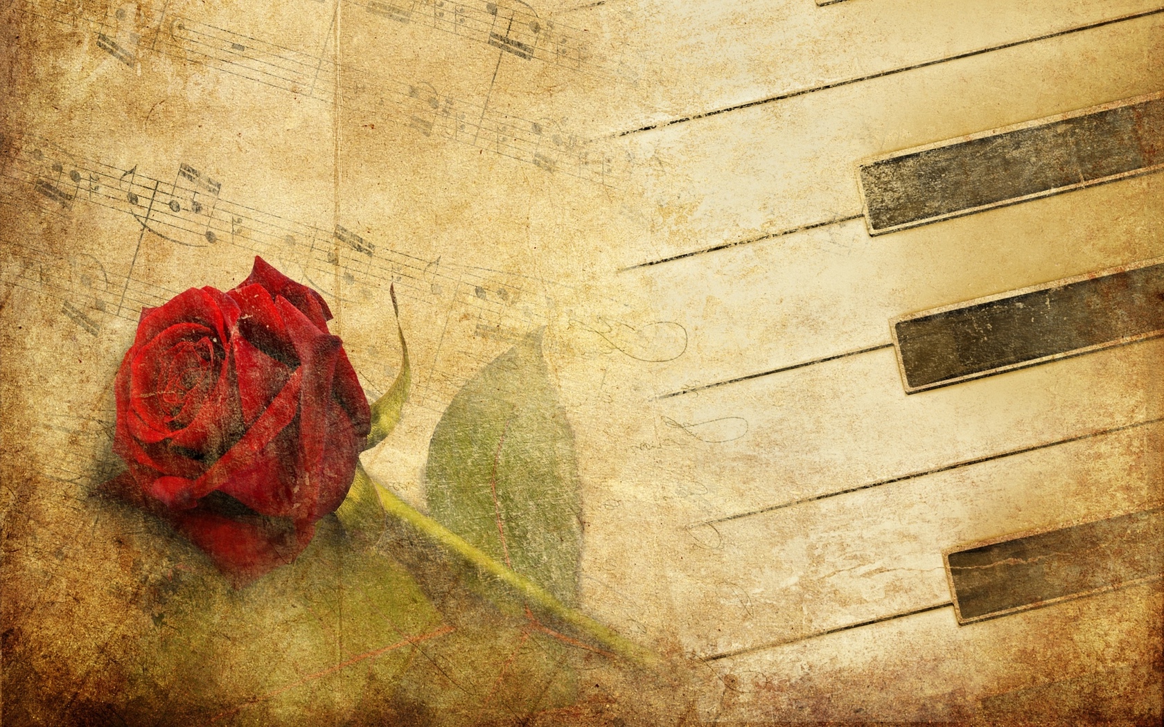 красная, vintage, фортепиано, красная роза, роза Цветы картинки, обои рабочий стол