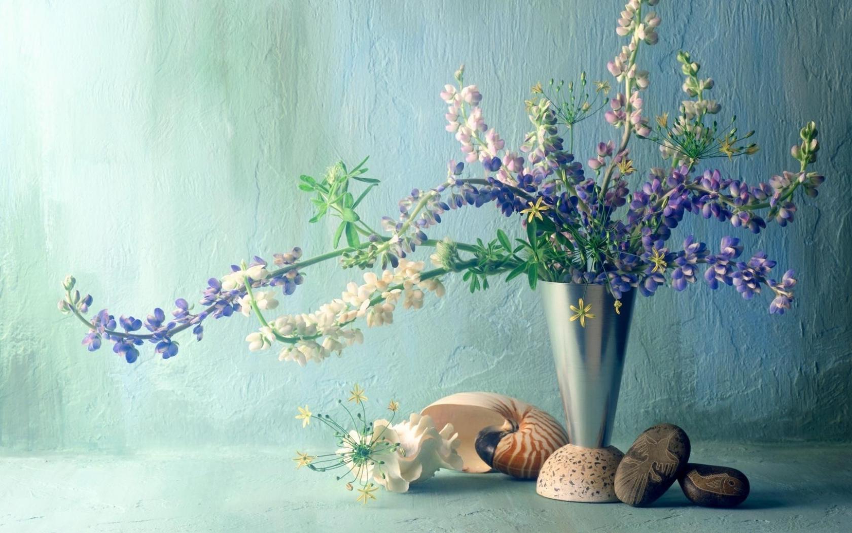 Люпины, букет, ваза, цветы, ракушка Цветы картинки, обои рабочий стол