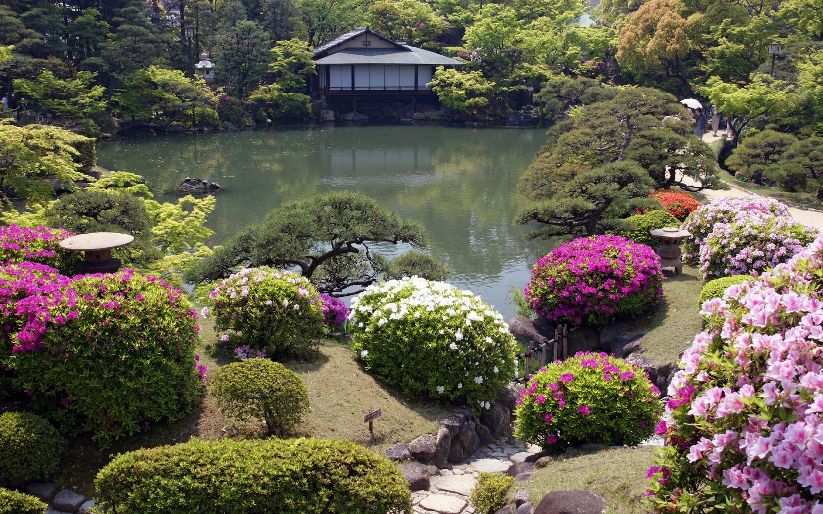 Цветы, японский сад Цветы картинки, обои рабочий стол