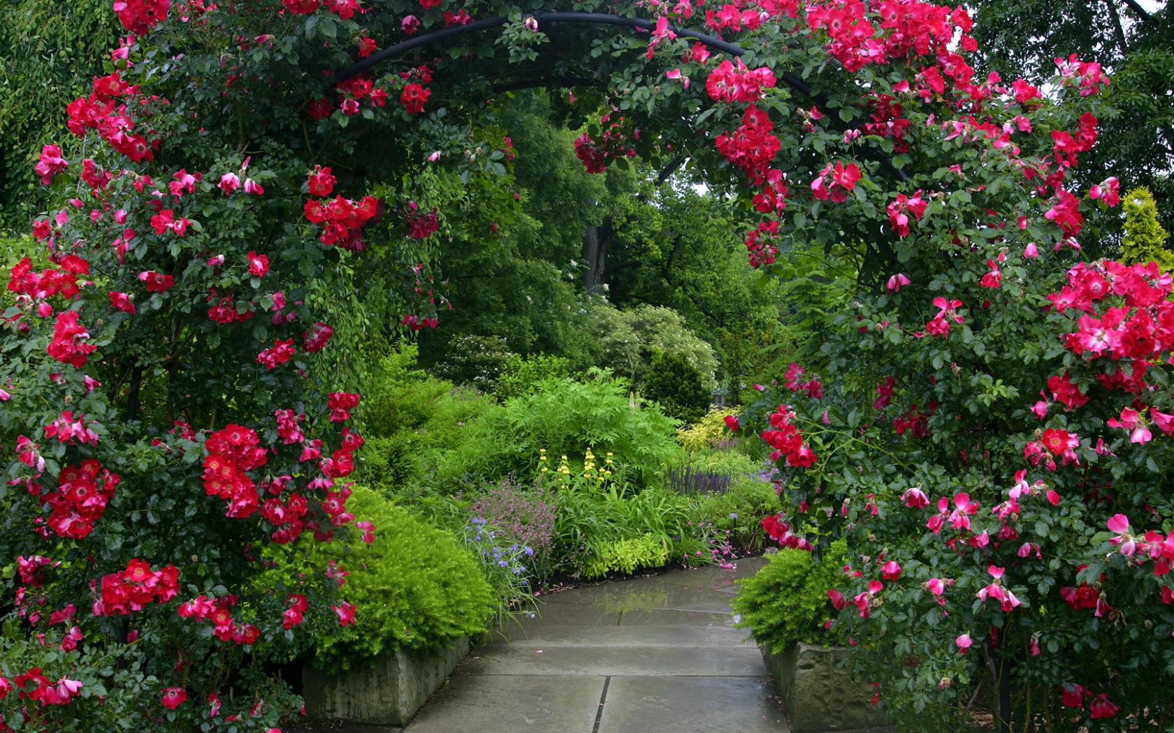 Ботанический сад Цветы картинки, обои рабочий стол