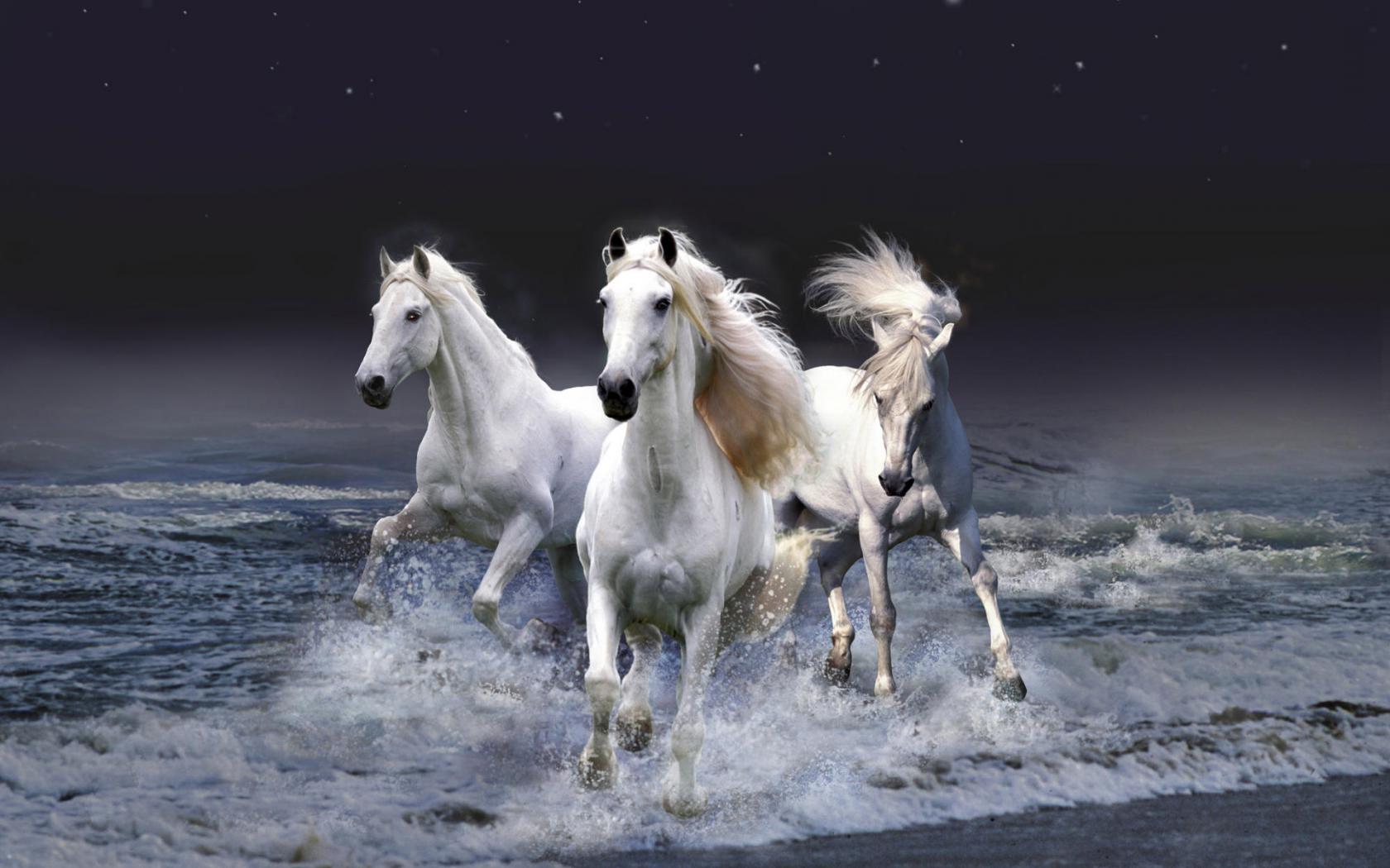 Тройка лошадей Животные картинки, обои рабочий стол