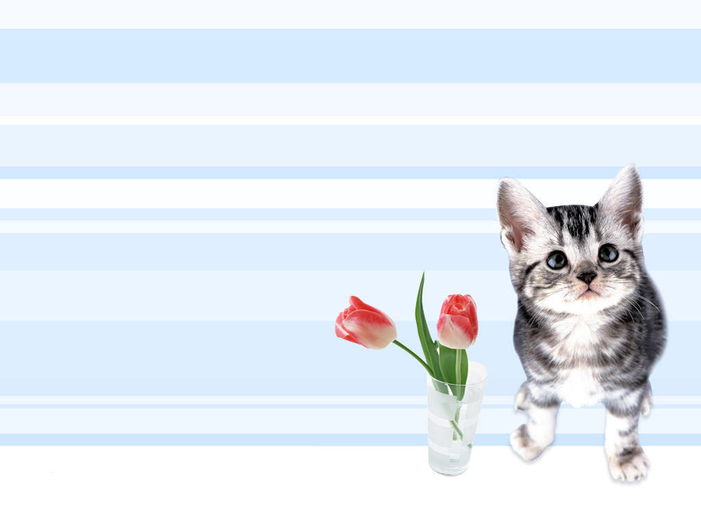 Маленький котенок и цветы тюльпаны Кошки картинки, обои рабочий стол