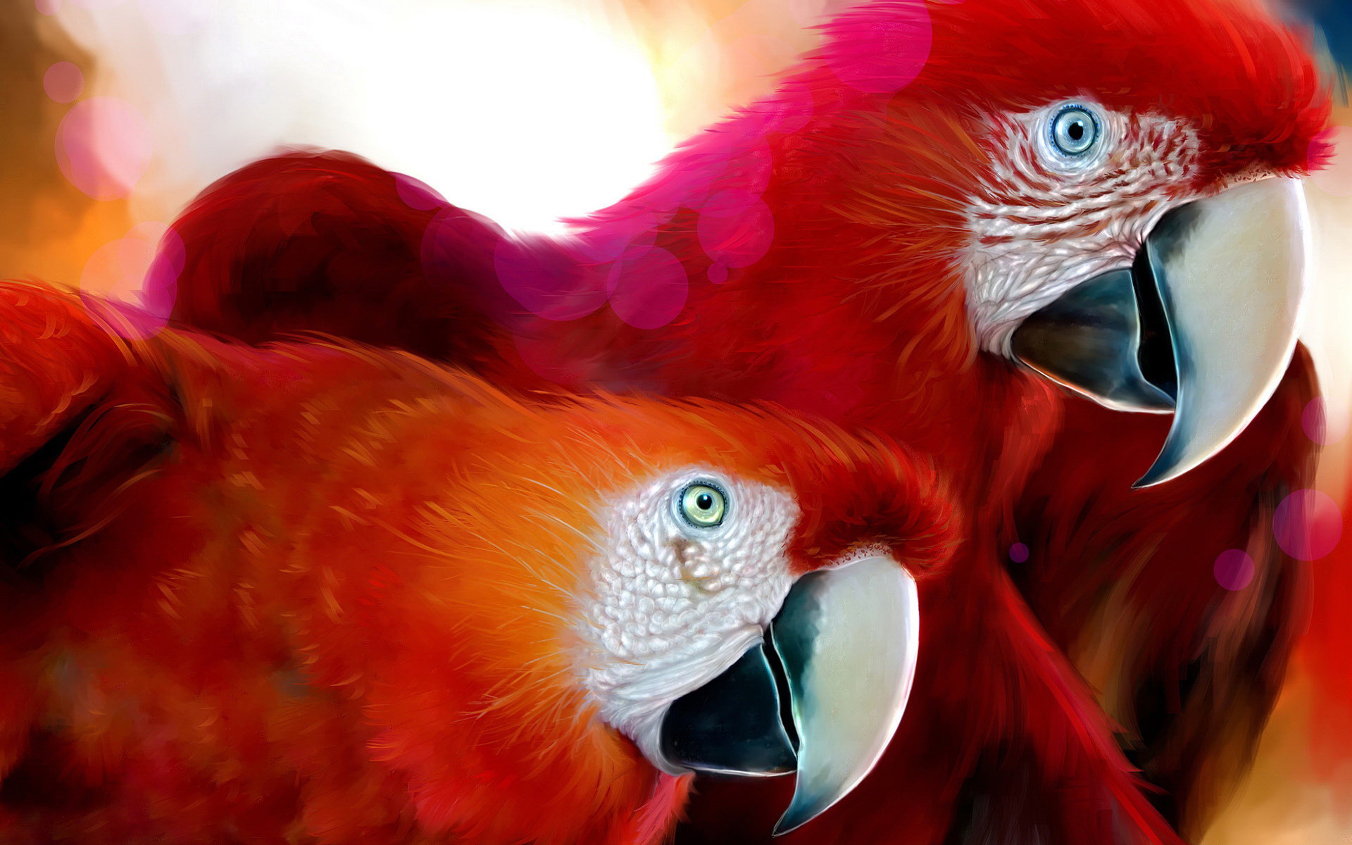 Красные попугаи Птицы картинки, обои рабочий стол