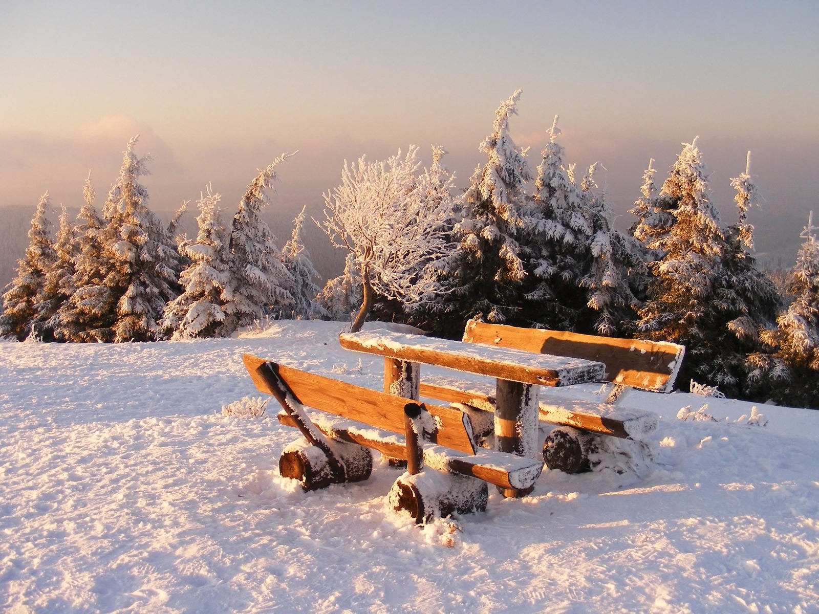 лавочка, столик, у леса, зима, снег HD фото картинки, обои рабочий стол