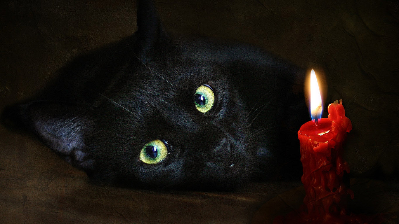 рисунок Черная кошка HD фото картинки, обои рабочий стол