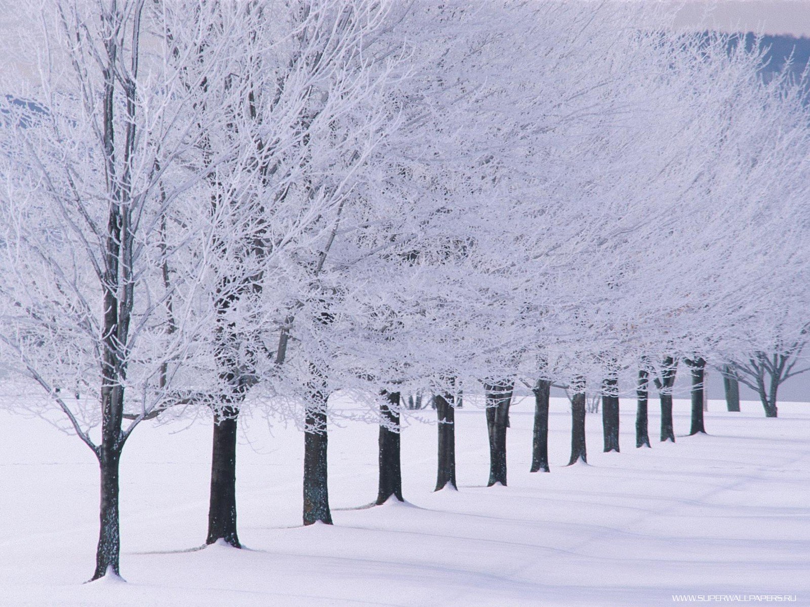 Glimmerglass State Park - Нью-Йорк, США HD фото картинки, обои рабочий стол