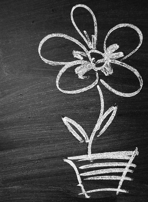 Нарисованный цветок в горшке HD фото картинки, обои рабочий стол