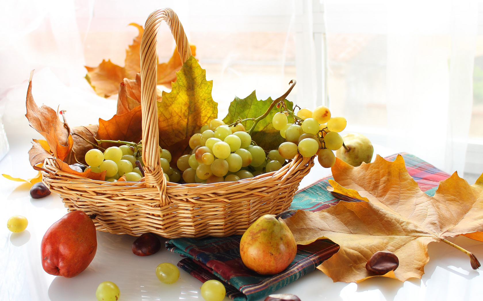 виноград, листья, осень, корзина, ягоды, фрукты HD фото картинки, обои рабочий стол