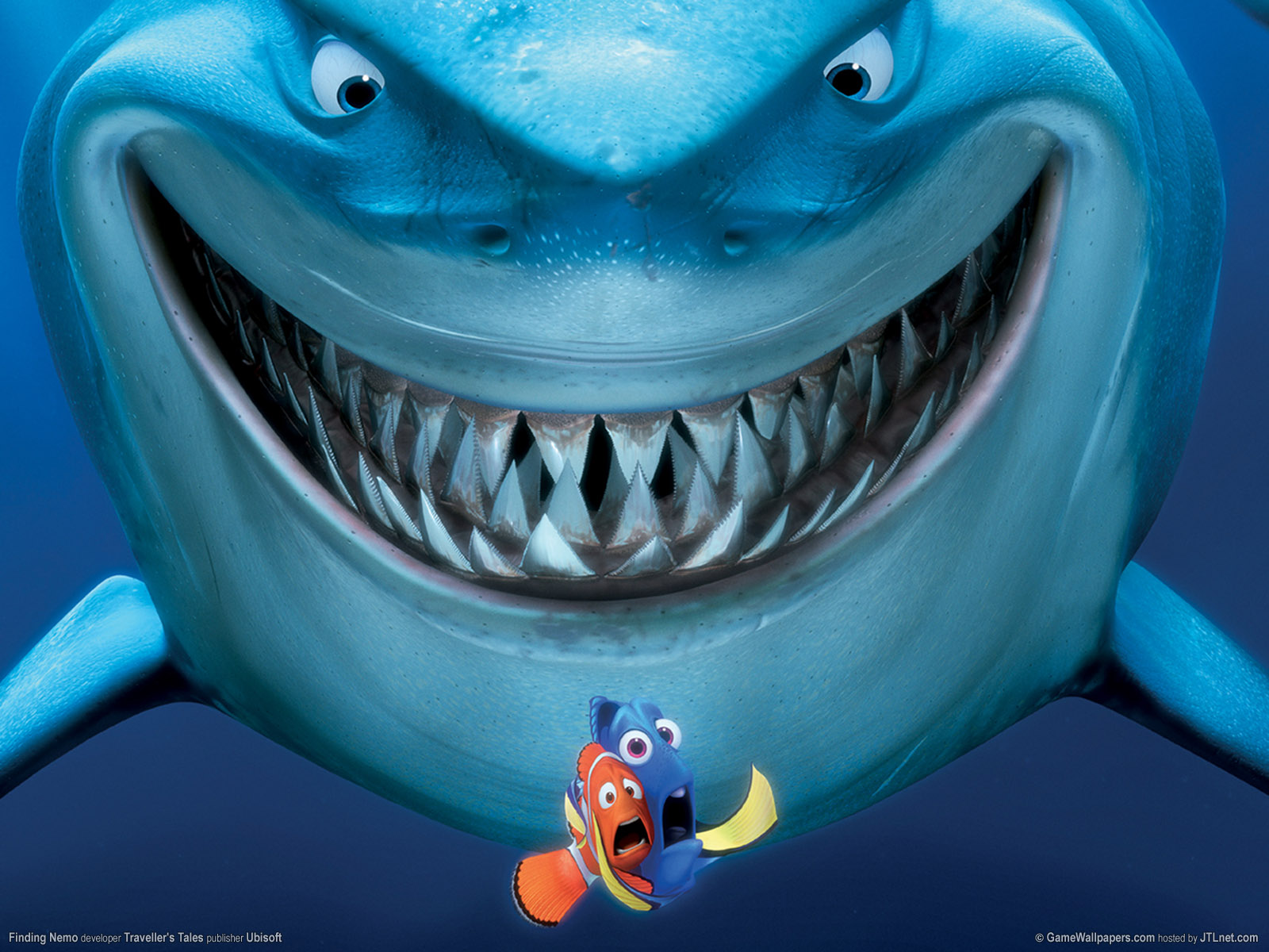 Из мультфильма Finding Nemo HD фото картинки, обои рабочий стол