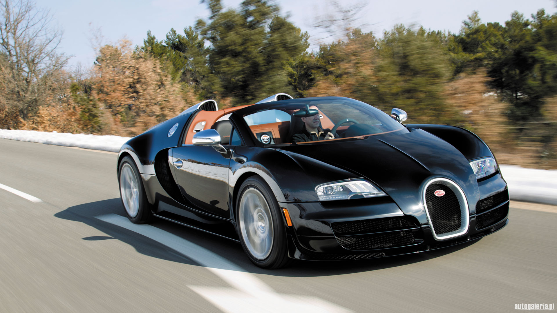 Автомобиль Bugatti Veyron Grand Sport HD фото картинки, обои рабочий стол