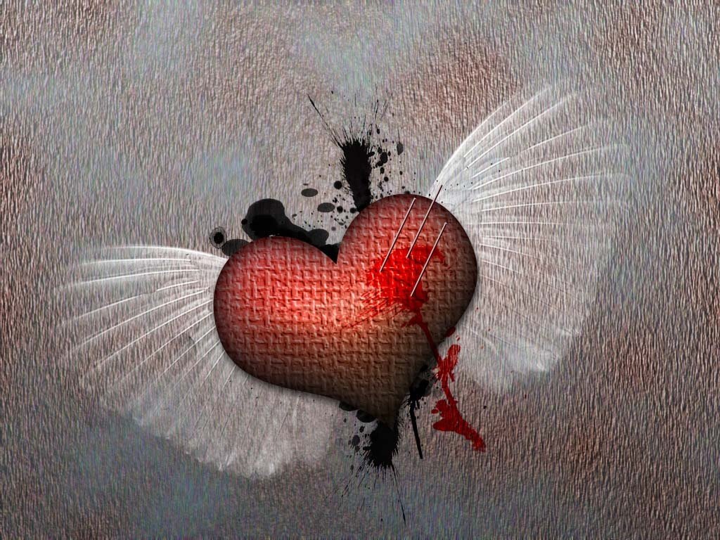 Любовь игл. Сердце устало. Сердечко с крылышками. Сердечко любовь с крыльями. Сердце на крыльях любви.