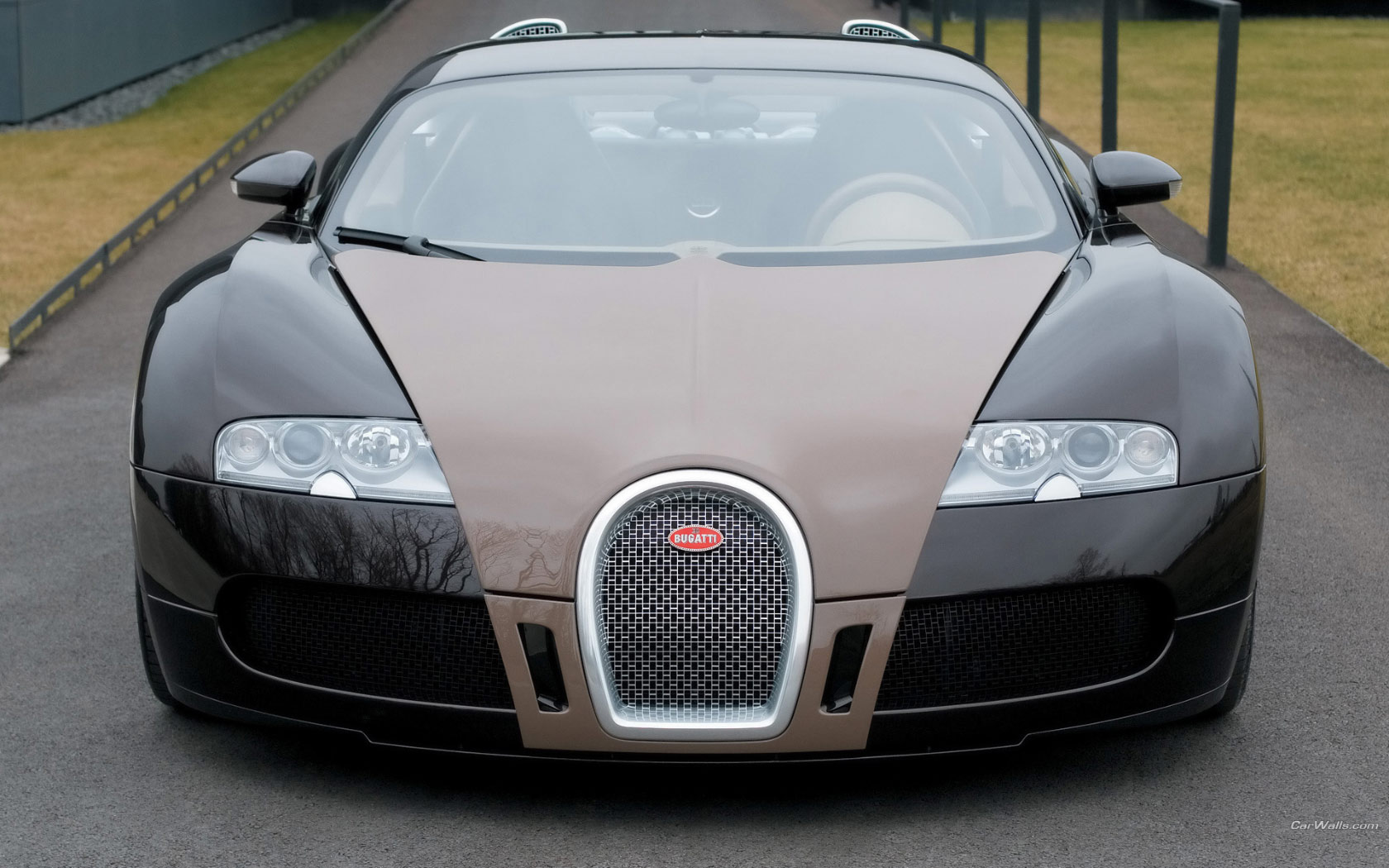 Bugatti veyron FBG Автомобили картинки, обои рабочий стол