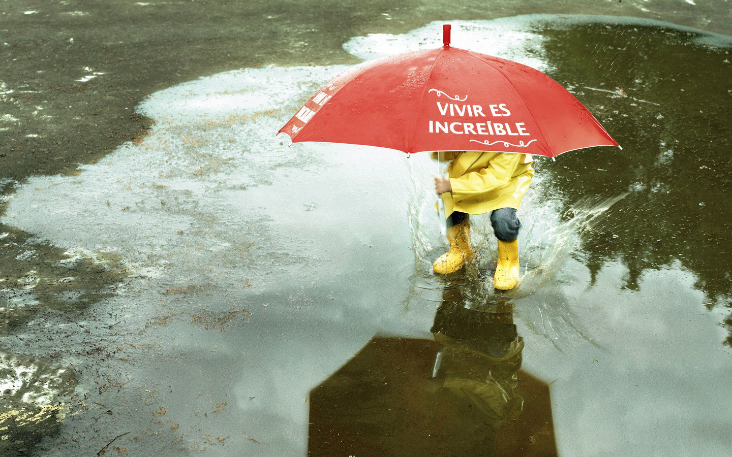 Улыбок в любую погоду. Хорошего настроения в дождь. Дождливое утро. Зонт в луже. Дождливое настроение.