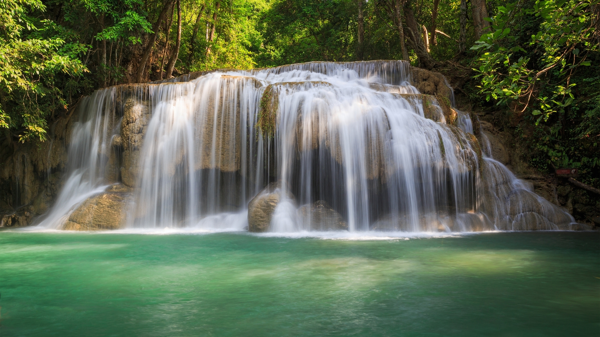 Чарующее фото лесного водопада Природа картинки, обои рабочий стол