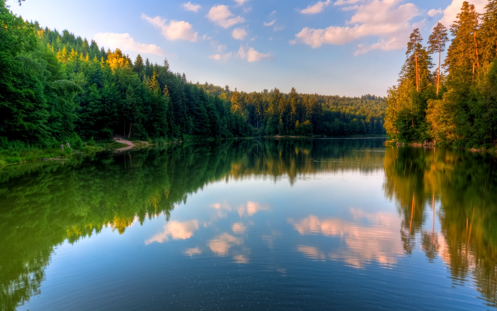 Озеро и лес картинки