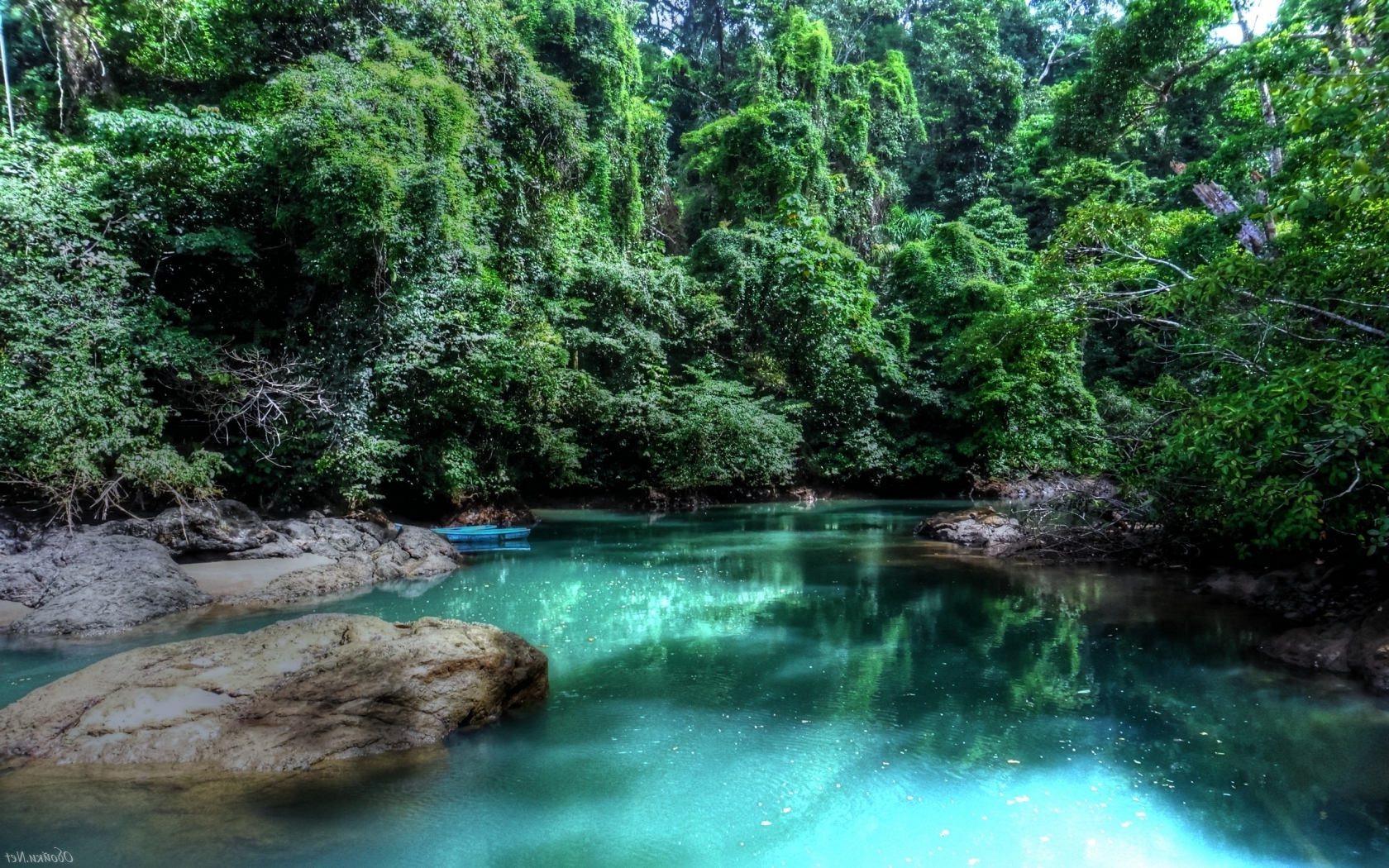 Тропические леса Коста Рики