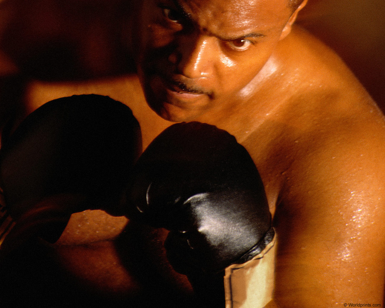 Мощный боксер в черных перчатках Спорт картинки, обои рабочий стол