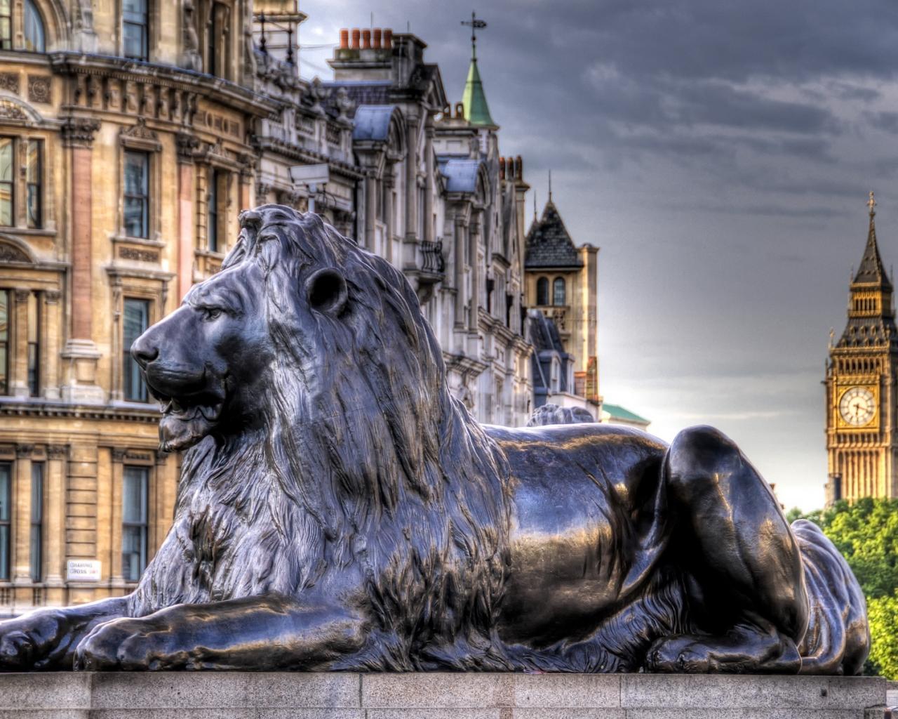 Trafalgar square, Лондон, Англия, лев Города картинки, обои рабочий стол