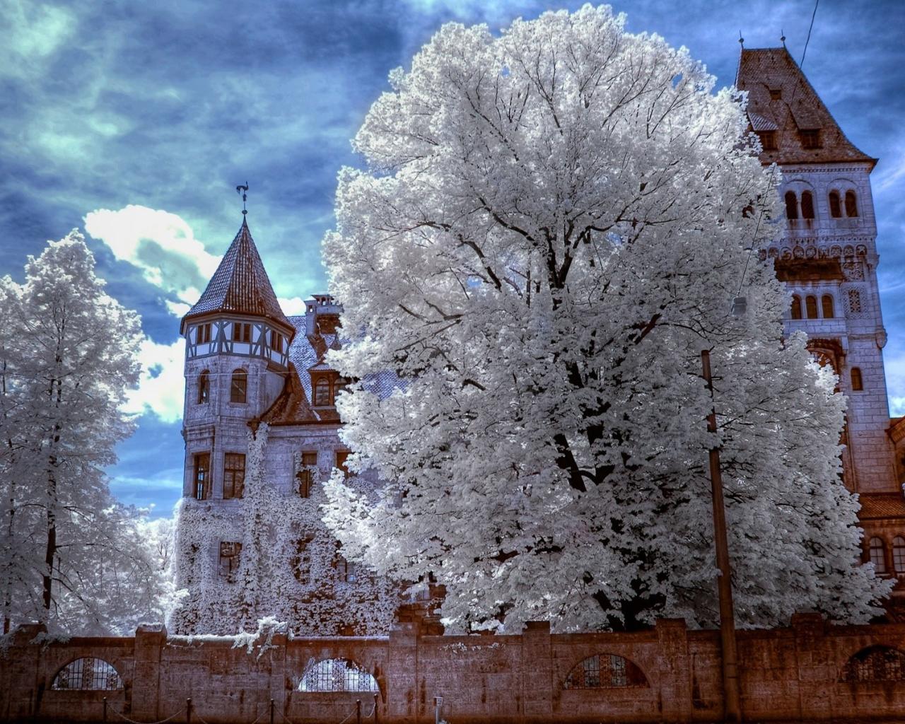 Трансильвания, замок дракулы, зима, иней, замок Города картинки, обои рабочий стол