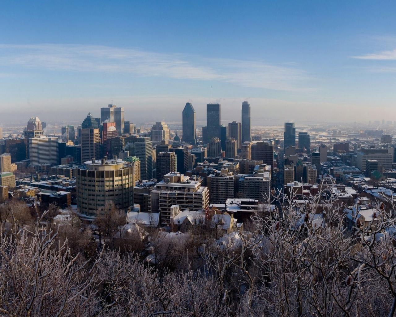 Монреаль, канада, деревья, снег, зима Города картинки, обои рабочий стол
