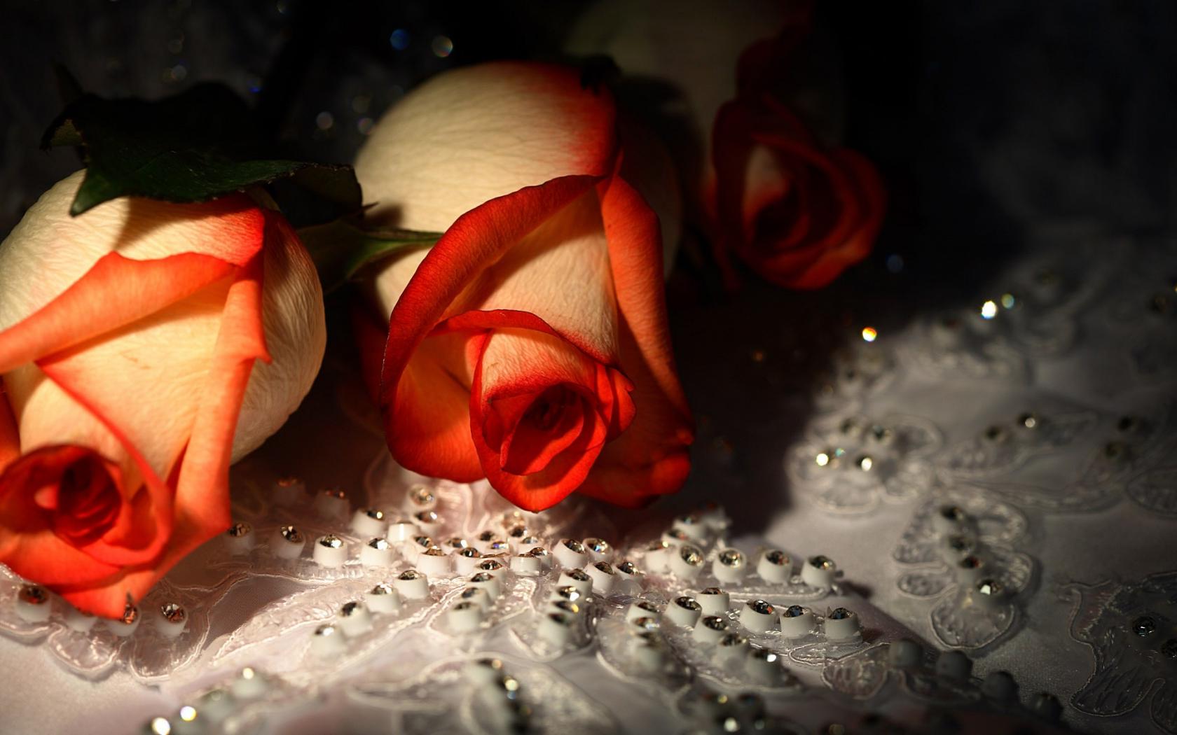 Розы и стразы Цветы картинки, обои рабочий стол