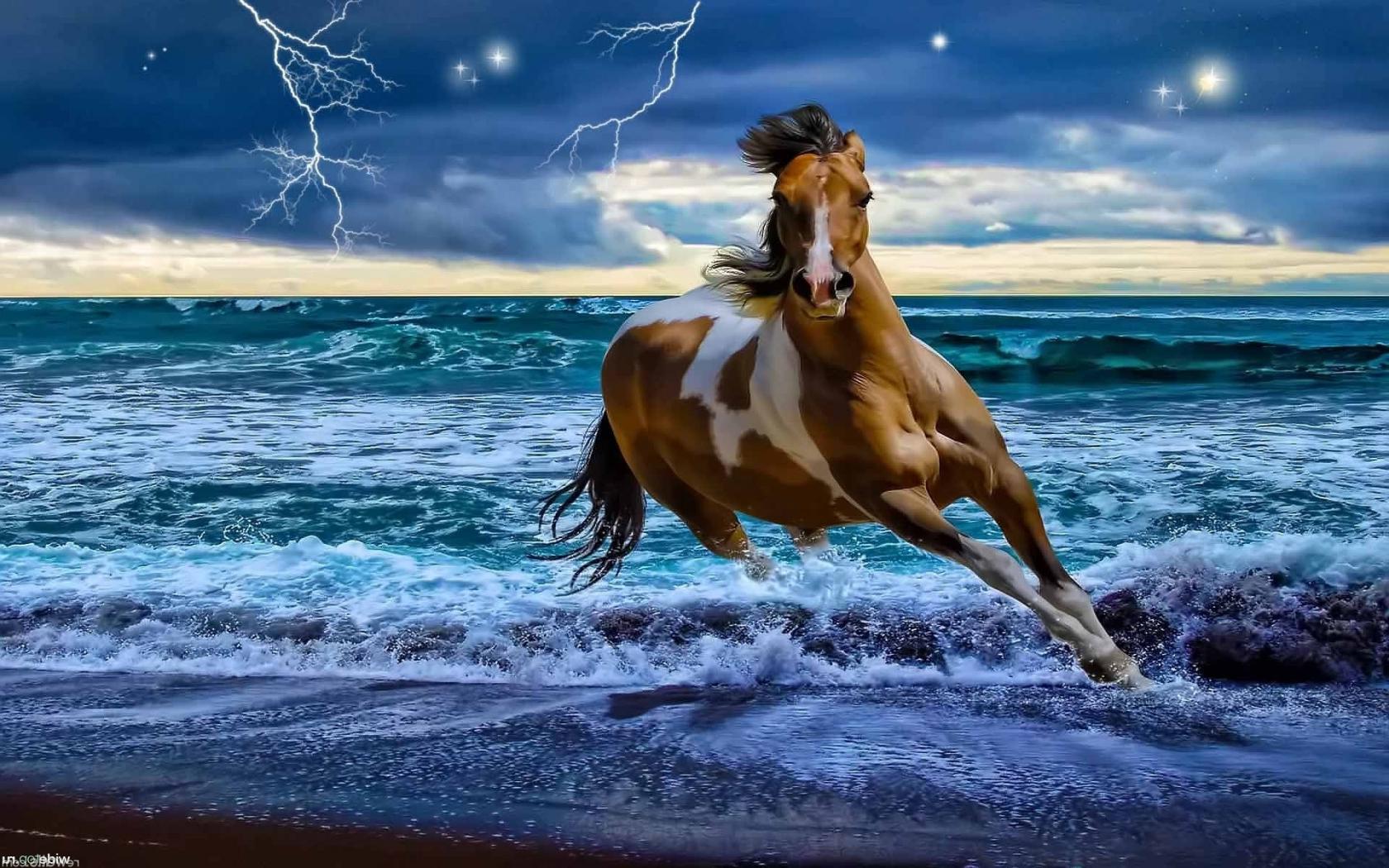 Лошадь, конь, молния, море Животные картинки, обои рабочий стол