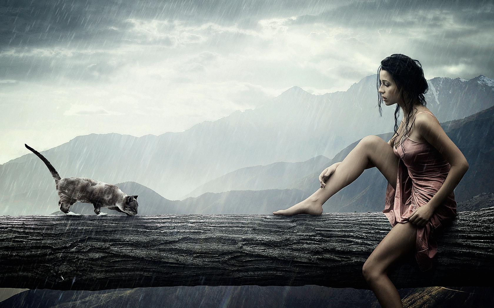 Кот, девушка, дождь Животные картинки, обои рабочий стол